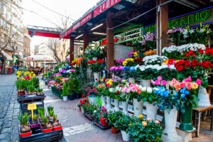 Louloudadika - The fragrant landmark of the city
