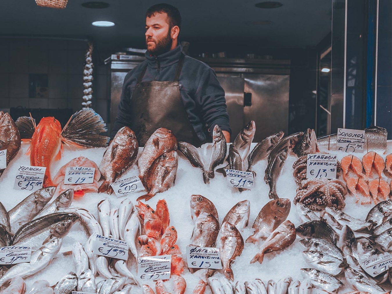 Kapani: The fish market